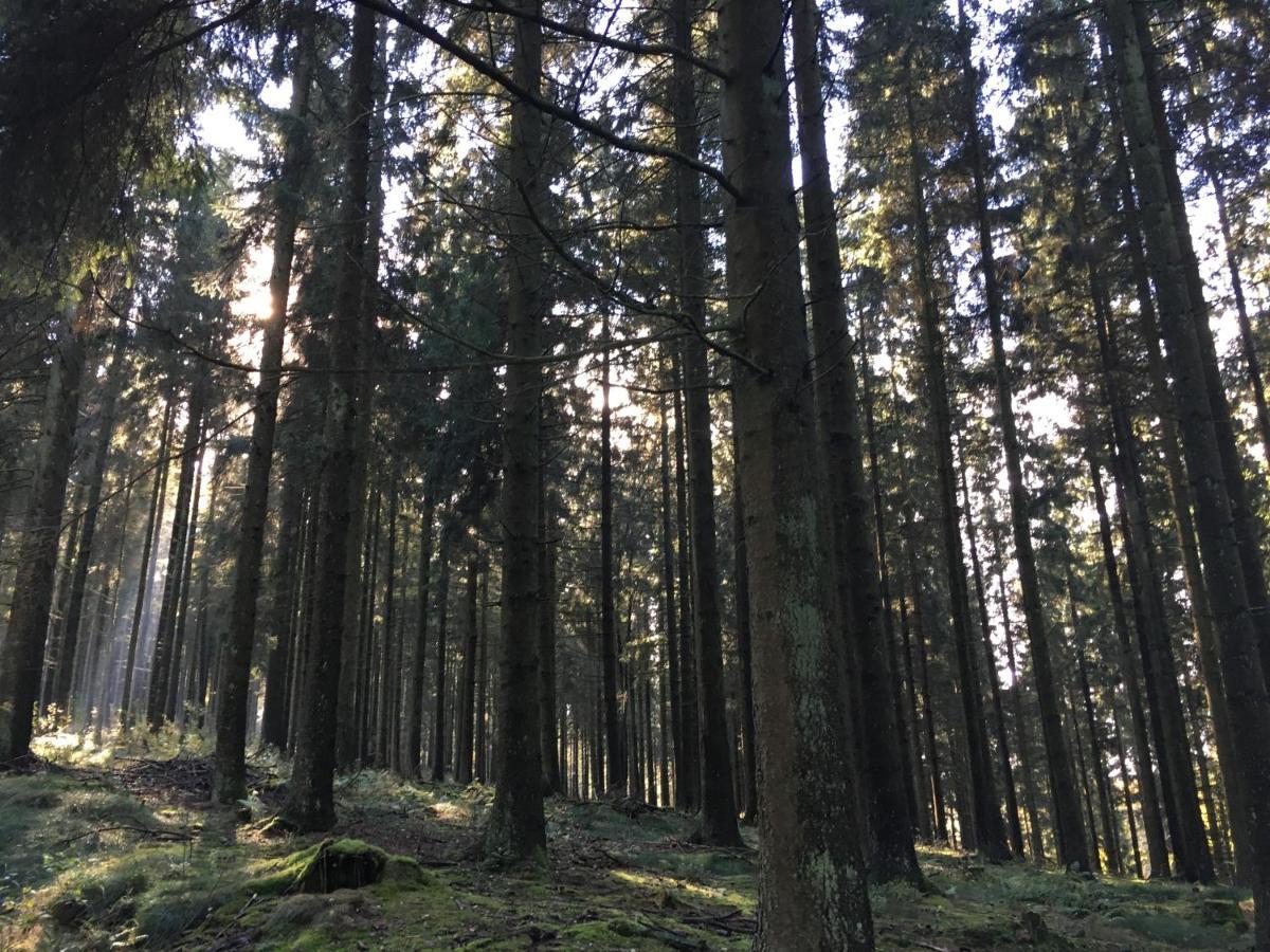 Willa Le Voyageur Murringen Zewnętrze zdjęcie